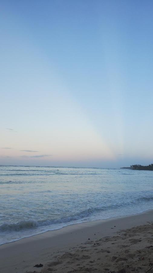 Yes Papa! Rooms Only 100M From The Beach! Las Galeras Exterior foto