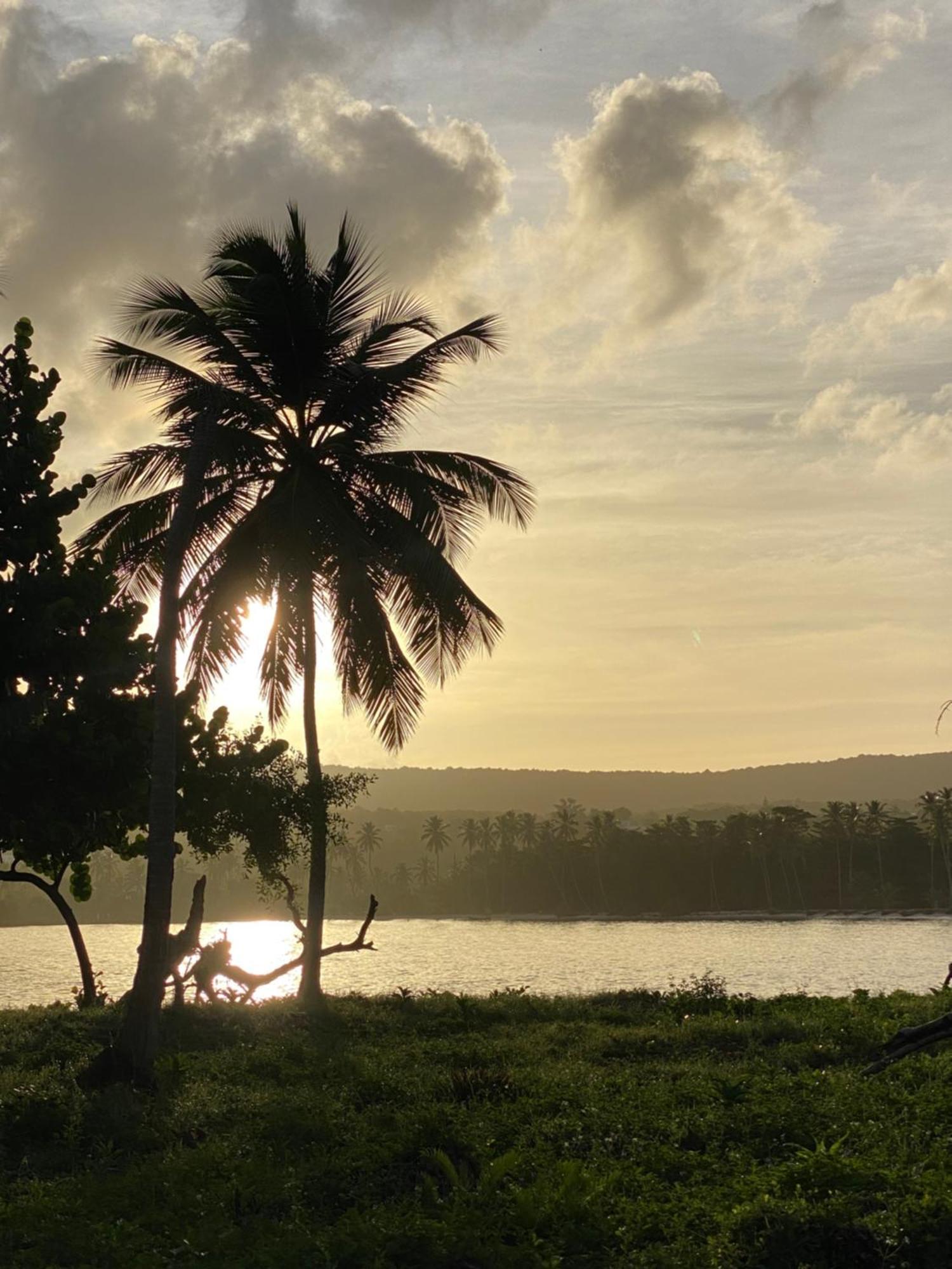 Yes Papa! Rooms Only 100M From The Beach! Las Galeras Exterior foto