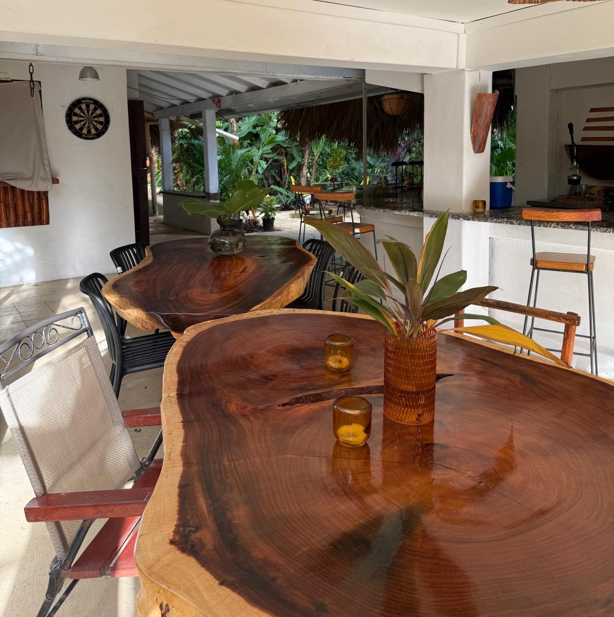 Yes Papa! Rooms Only 100M From The Beach! Las Galeras Exterior foto